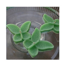 Load image into Gallery viewer, set of eight clover green butterfly shaped floating wedding candles for reception centerpieces