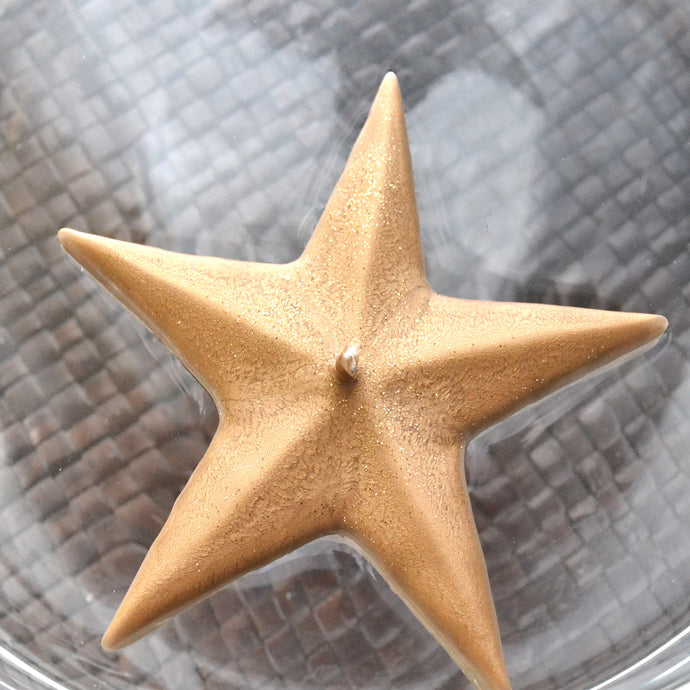 10 pk Large Gold Star Floating Candles