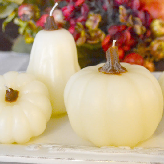 Pumpkin & Gourds