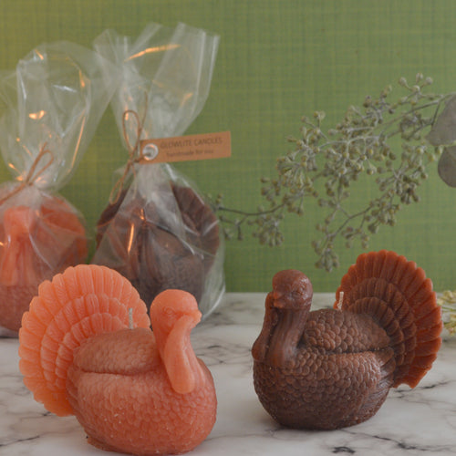 Pair of Turkey Candles