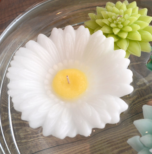 White Daisy shaped candle surrounded by green succulents 