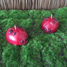 Load image into Gallery viewer, Bulk Box LOVE BUGS CANDLES