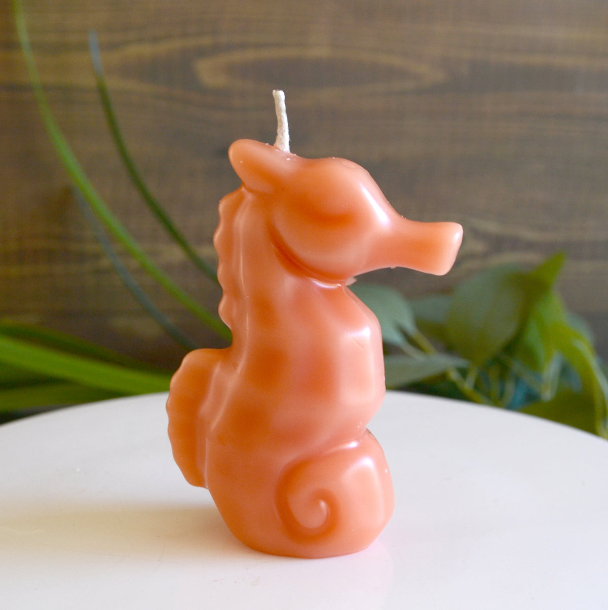 Seahorse Candle