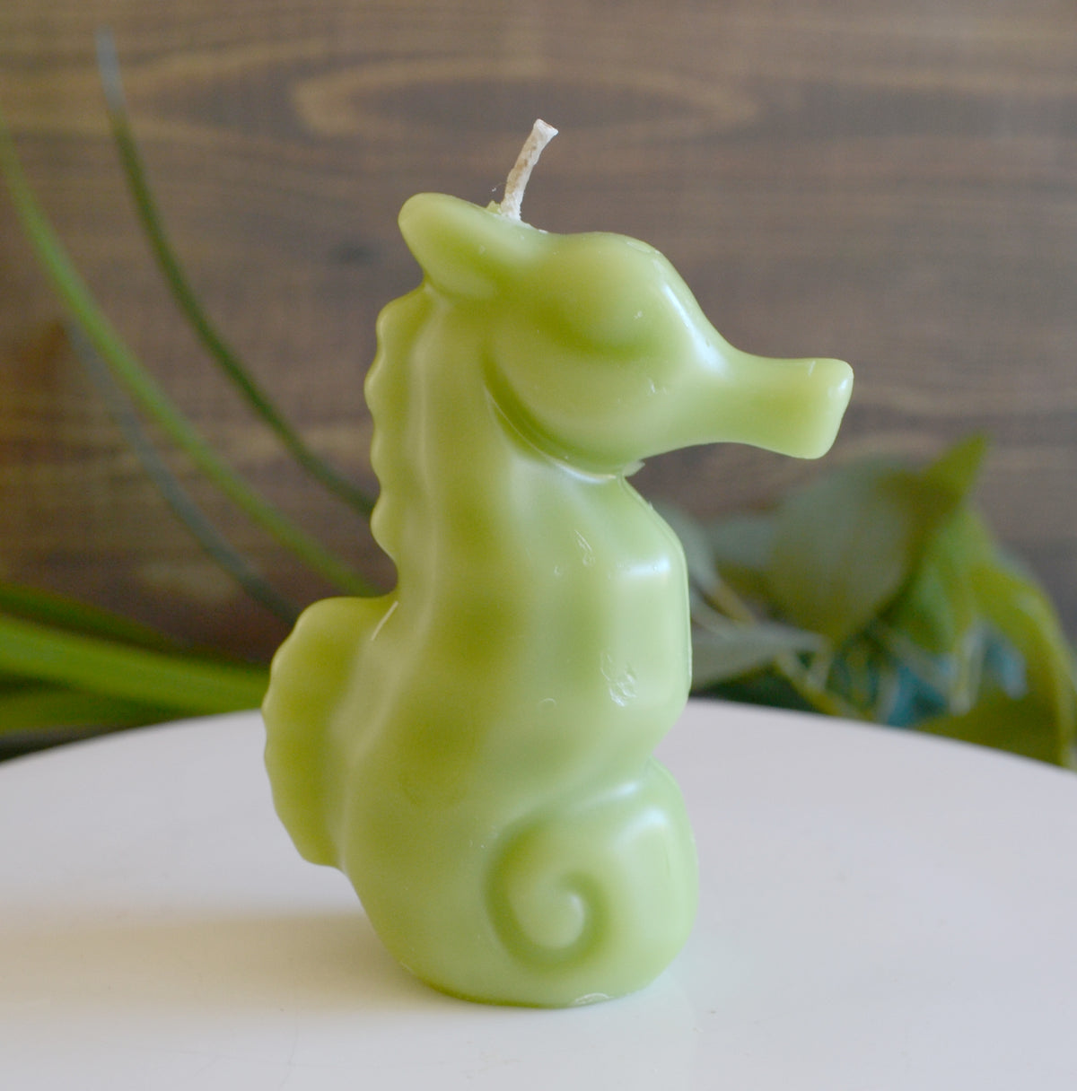 Seahorse Candle