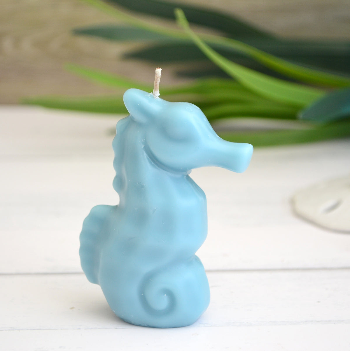 Seahorse Candle