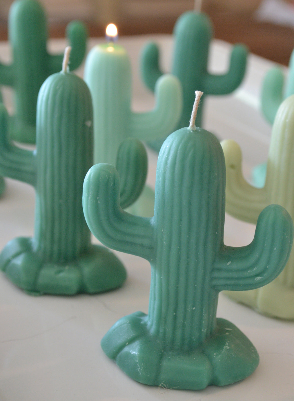 Set of 3 Saguaro Cactus Candle