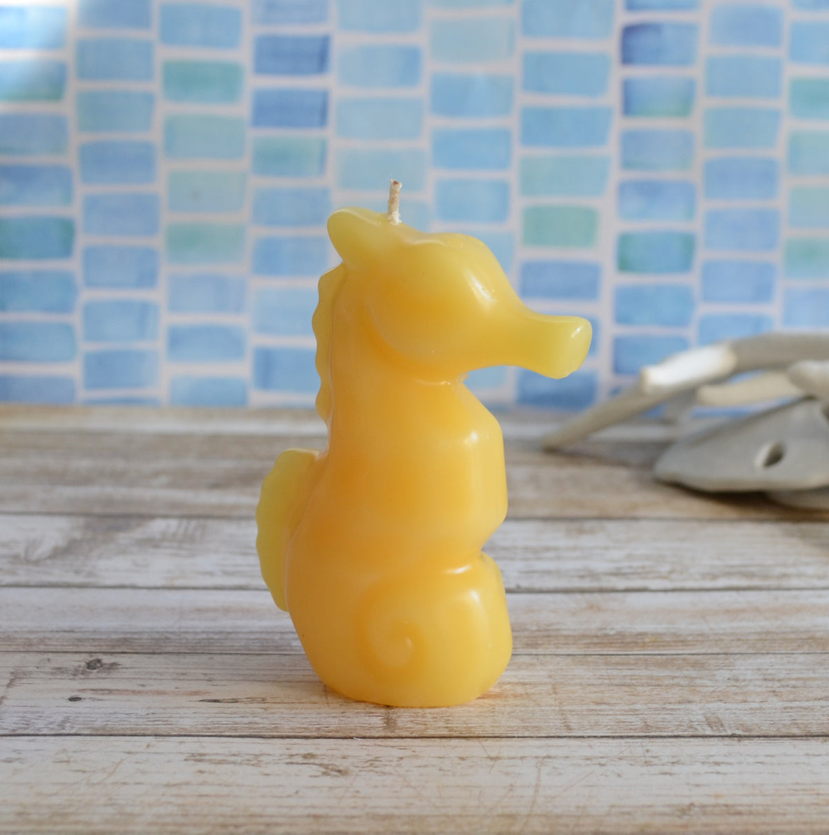 Seahorse Candle