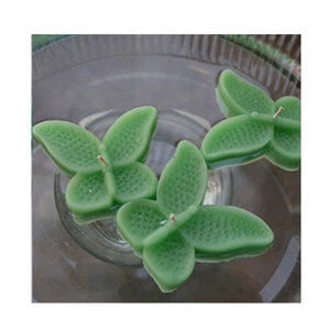 set of eight clover green butterfly shaped floating wedding candles for reception centerpieces