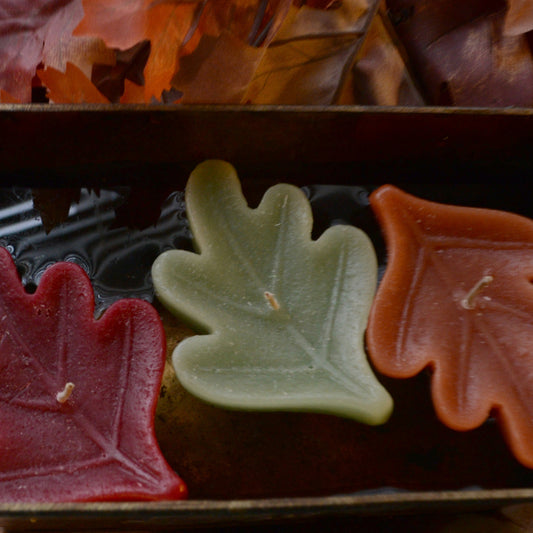 12 pk OAK LEAF FLOATING CANDLES