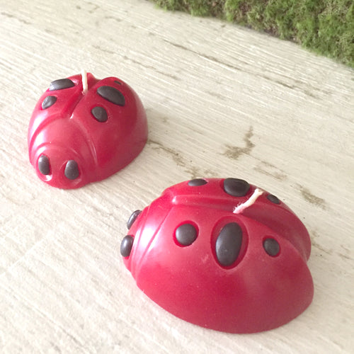 two red and black lady bug shaped candles