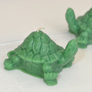 Mini Turtle Candles