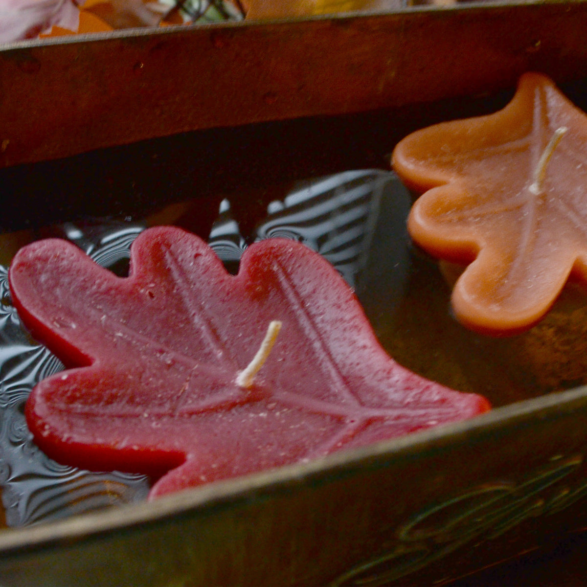 12 pk OAK LEAF FLOATING CANDLES