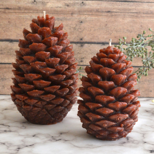 Set of Pine Cone Candles